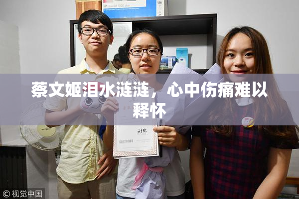 蔡文姬泪水涟涟，心中伤痛难以释怀