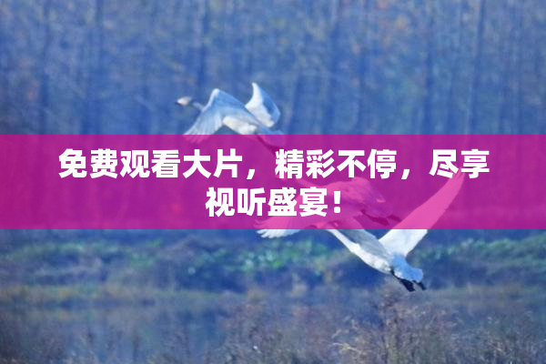 免费观看大片，精彩不停，尽享视听盛宴！