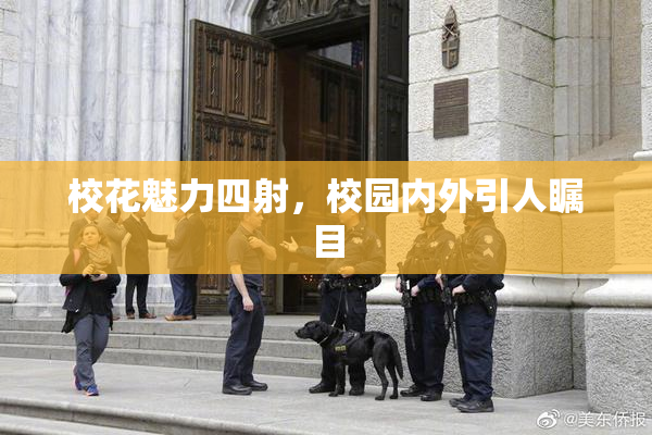 校花魅力四射，校园内外引人瞩目
