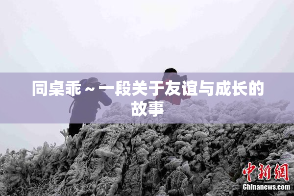 同桌乖～一段关于友谊与成长的故事
