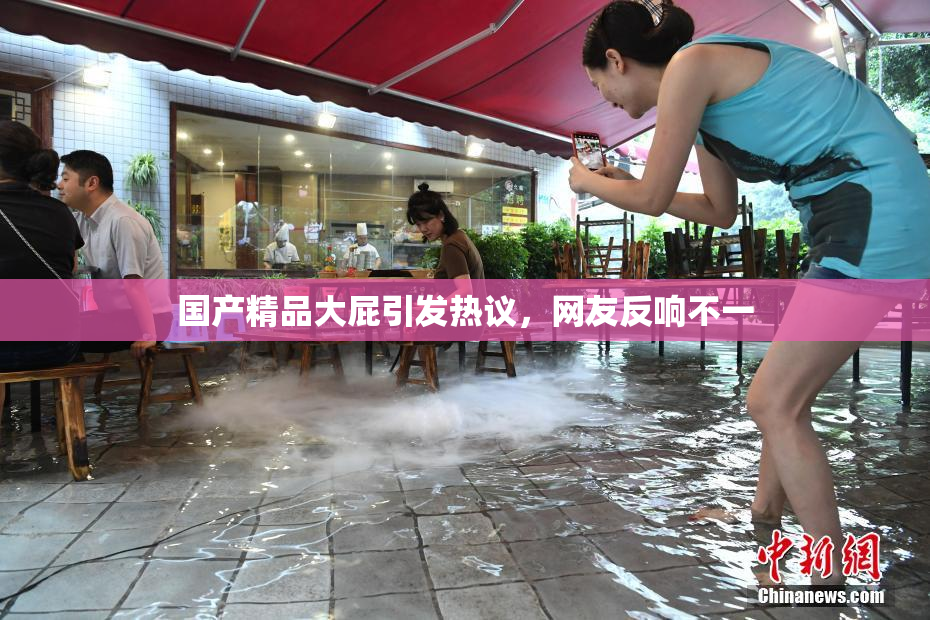 国产精品大屁引发热议，网友反响不一
