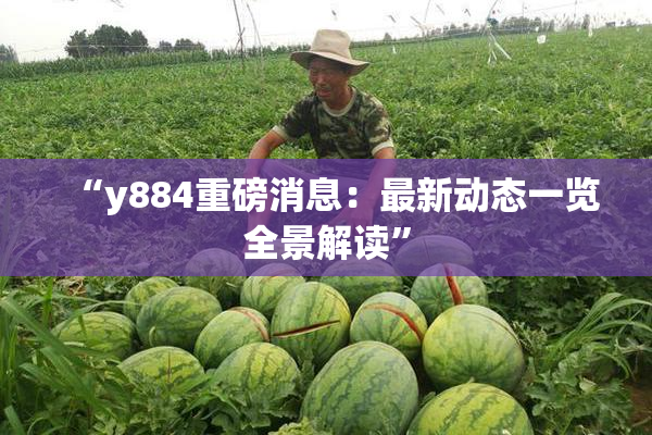 “y884重磅消息：最新动态一览全景解读”