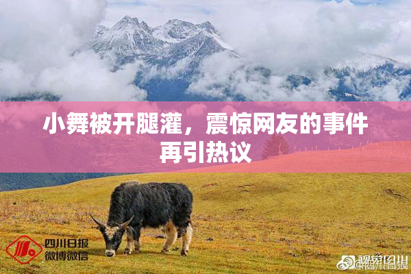 小舞被开腿灌，震惊网友的事件再引热议