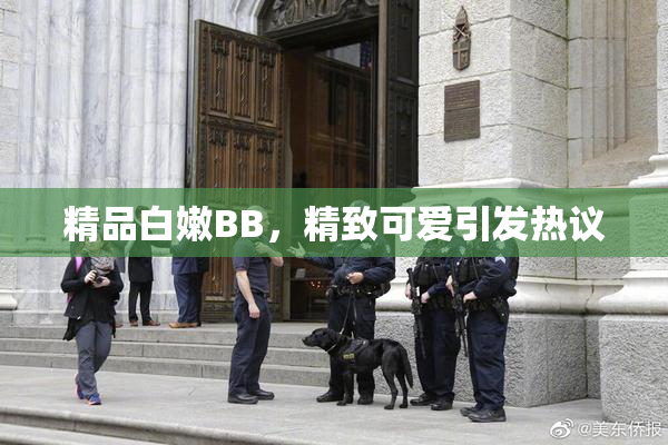 精品白嫩BB，精致可爱引发热议