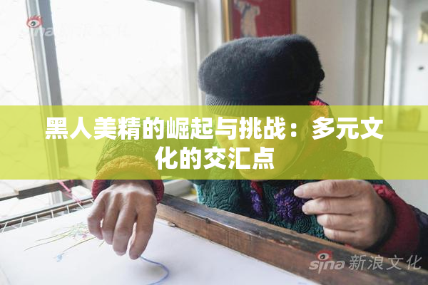 黑人美精的崛起与挑战：多元文化的交汇点