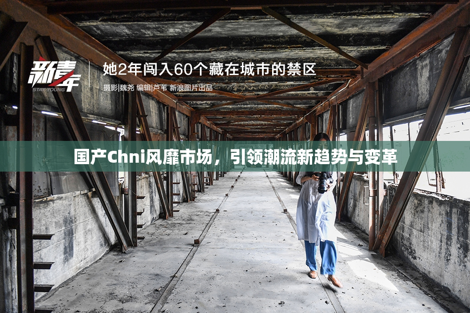 国产Chni风靡市场，引领潮流新趋势与变革