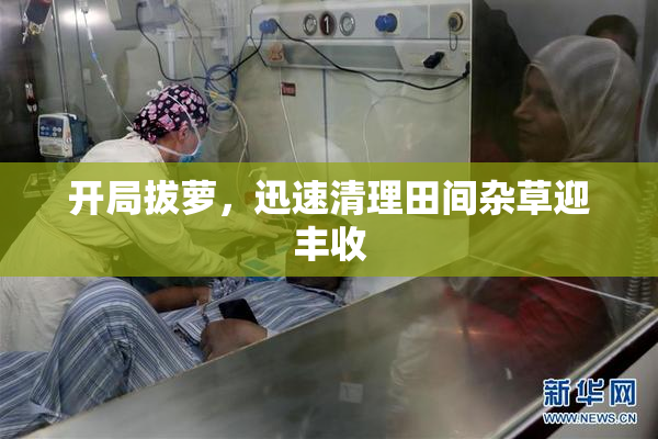 开局拔萝，迅速清理田间杂草迎丰收
