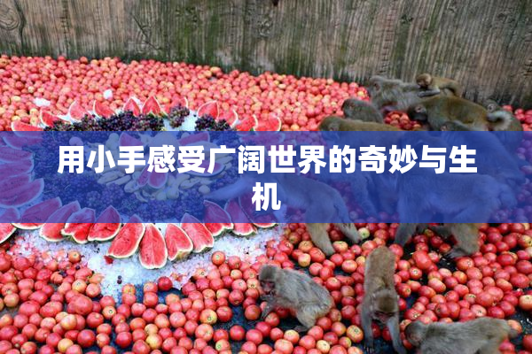 用小手感受广阔世界的奇妙与生机