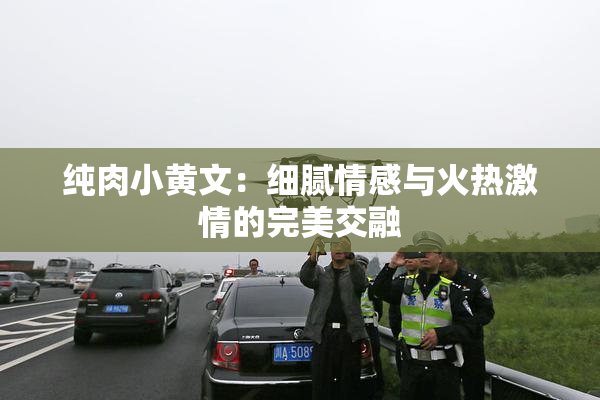 纯肉小黄文：细腻情感与火热激情的完美交融