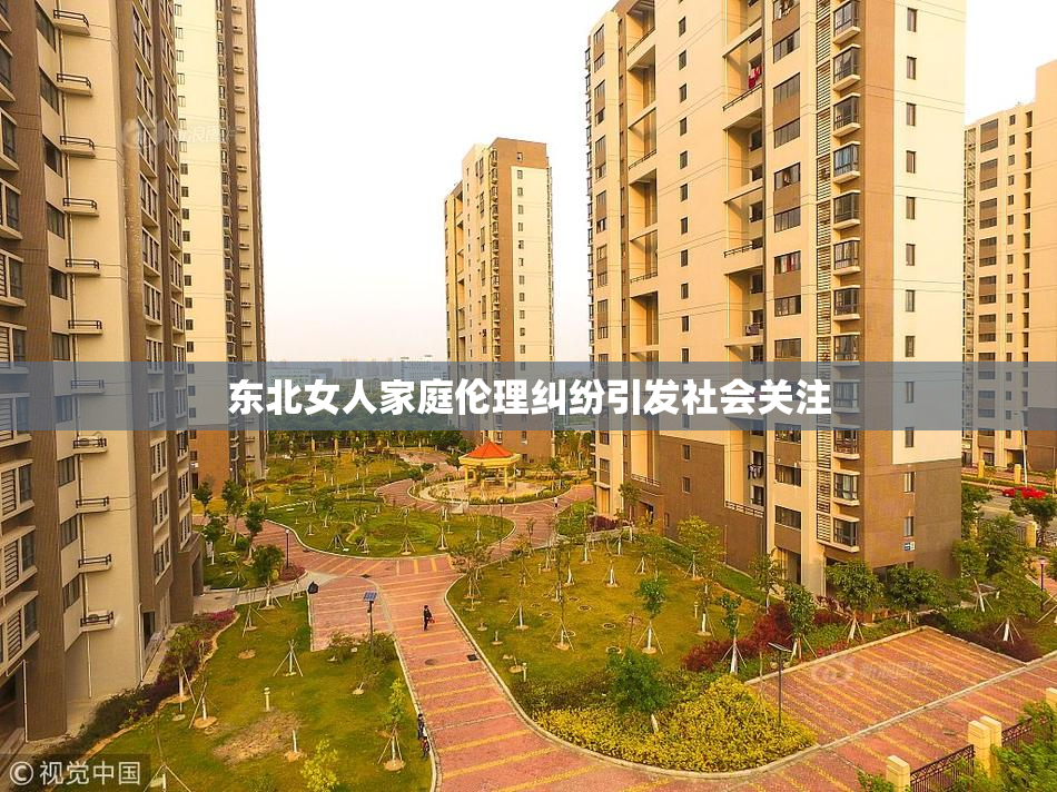 东北女人家庭伦理纠纷引发社会关注