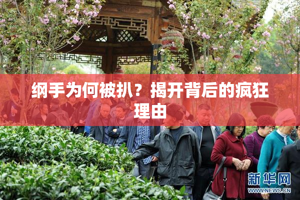 纲手为何被扒？揭开背后的疯狂理由