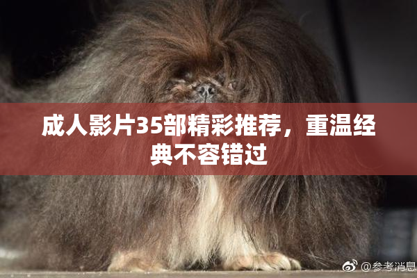 成人影片35部精彩推荐，重温经典不容错过