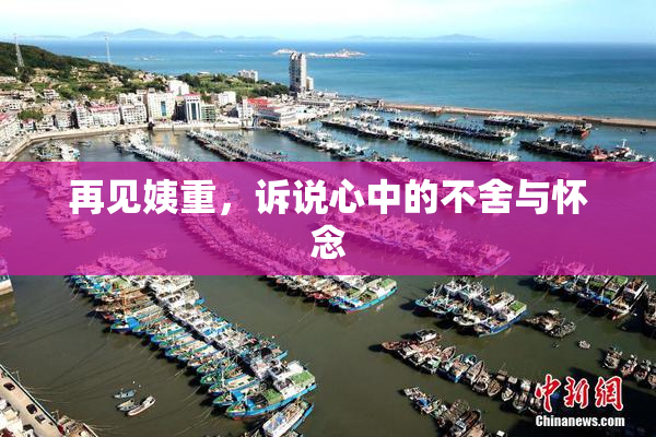 再见姨重，诉说心中的不舍与怀念