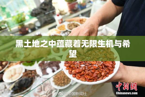 黑土地之中蕴藏着无限生机与希望