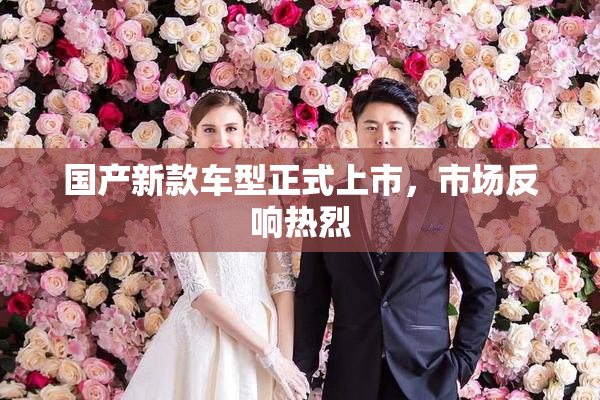 国产新款车型正式上市，市场反响热烈
