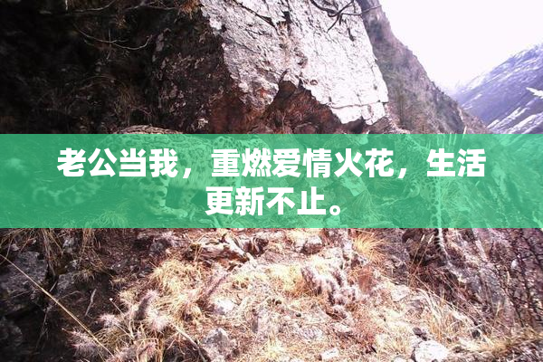老公当我，重燃爱情火花，生活更新不止。