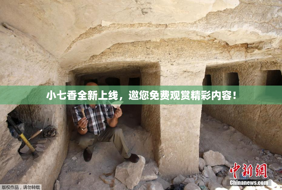 小七香全新上线，邀您免费观赏精彩内容！
