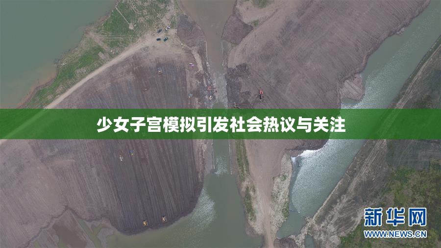 少女子宫模拟引发社会热议与关注