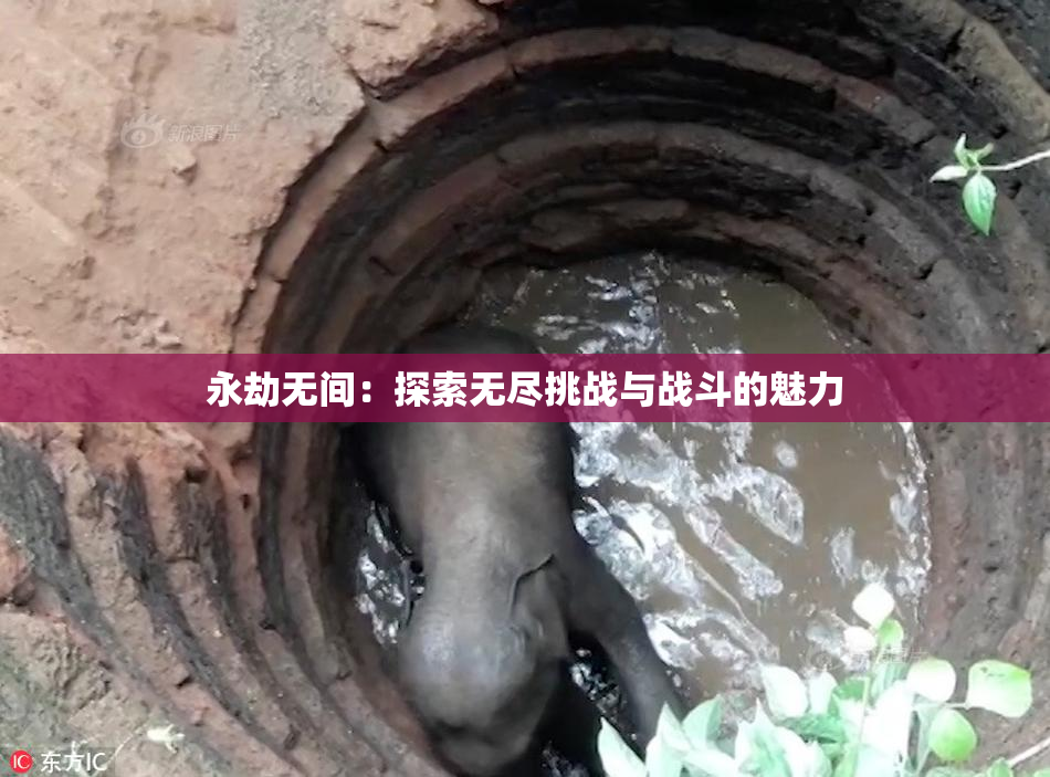 永劫无间：探索无尽挑战与战斗的魅力