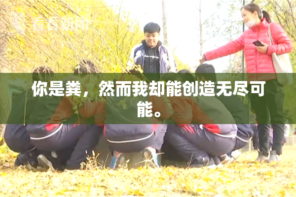 你是粪，然而我却能创造无尽可能。