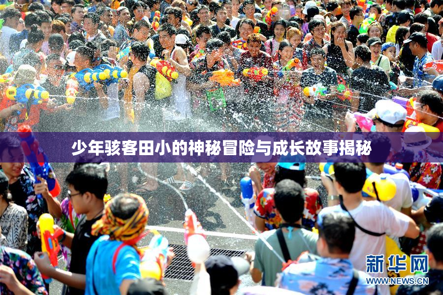 少年骇客田小的神秘冒险与成长故事揭秘