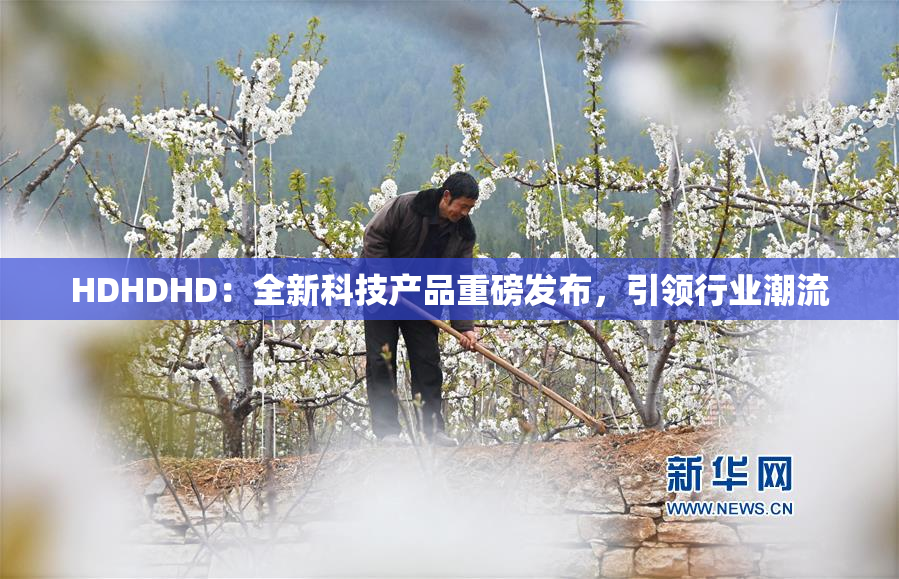 HDHDHD：全新科技产品重磅发布，引领行业潮流