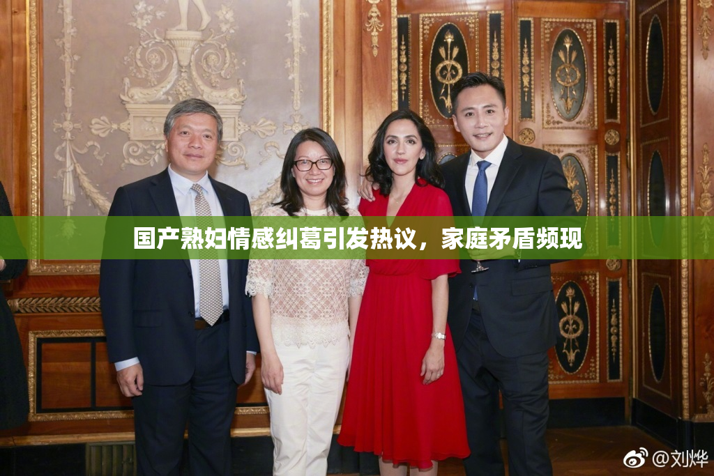 国产熟妇情感纠葛引发热议，家庭矛盾频现