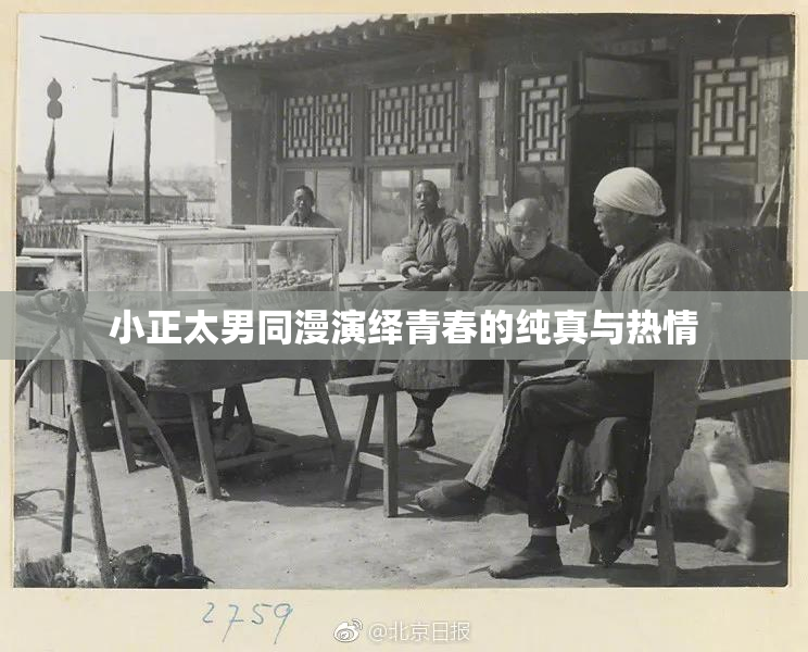 小正太男同漫演绎青春的纯真与热情
