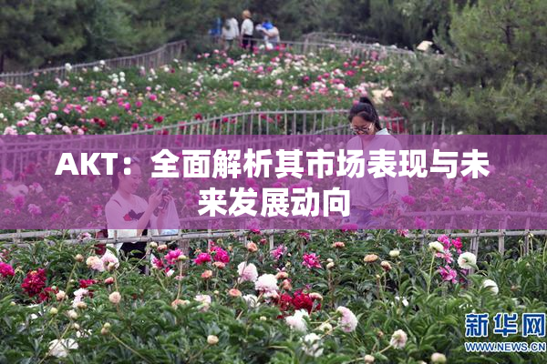 AKT：全面解析其市场表现与未来发展动向