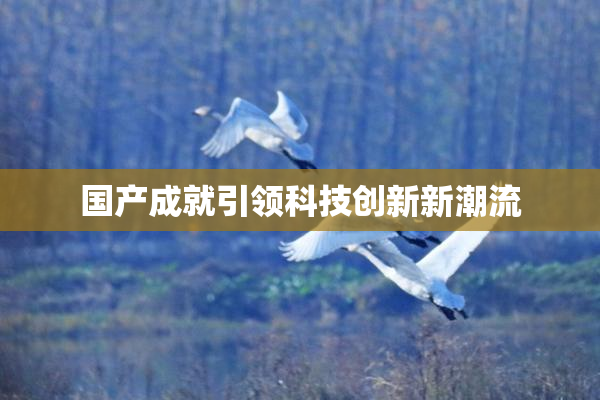 国产成就引领科技创新新潮流