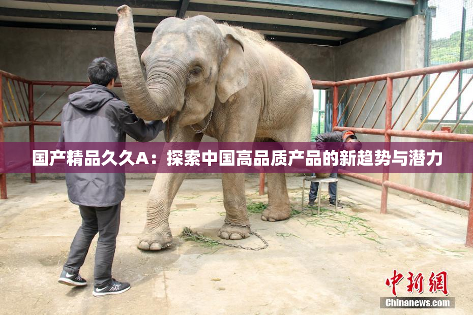 国产精品久久A：探索中国高品质产品的新趋势与潜力