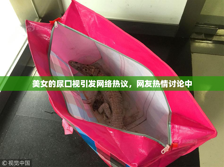 美女的尿囗视引发网络热议，网友热情讨论中