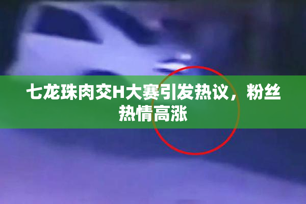 七龙珠肉交H大赛引发热议，粉丝热情高涨