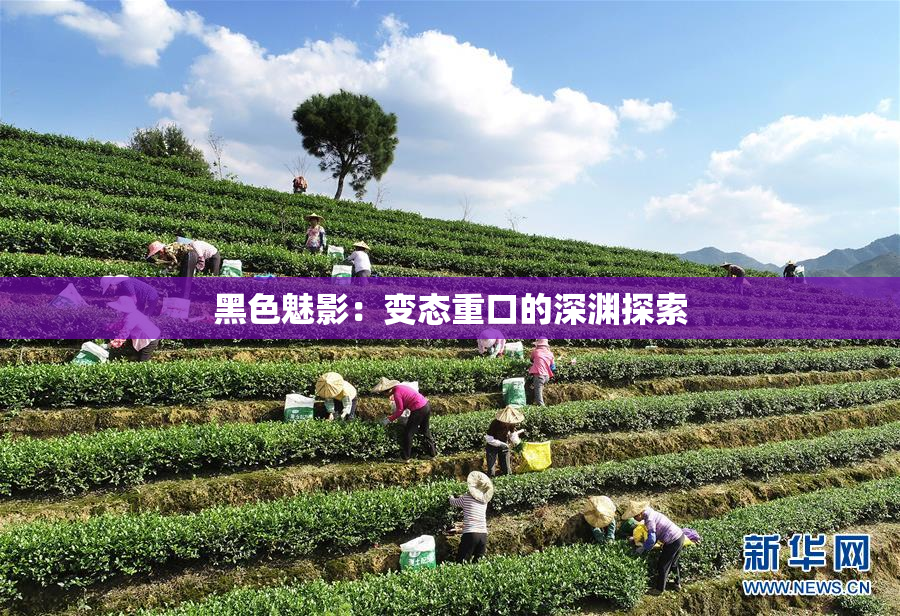 黑色魅影：变态重口的深渊探索