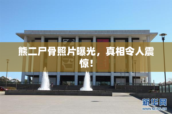 熊二尸骨照片曝光，真相令人震惊！