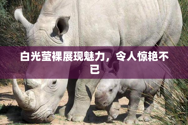 白光莹裸展现魅力，令人惊艳不已
