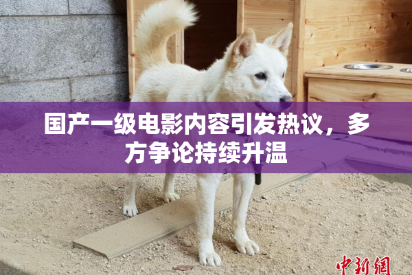 国产一级电影内容引发热议，多方争论持续升温