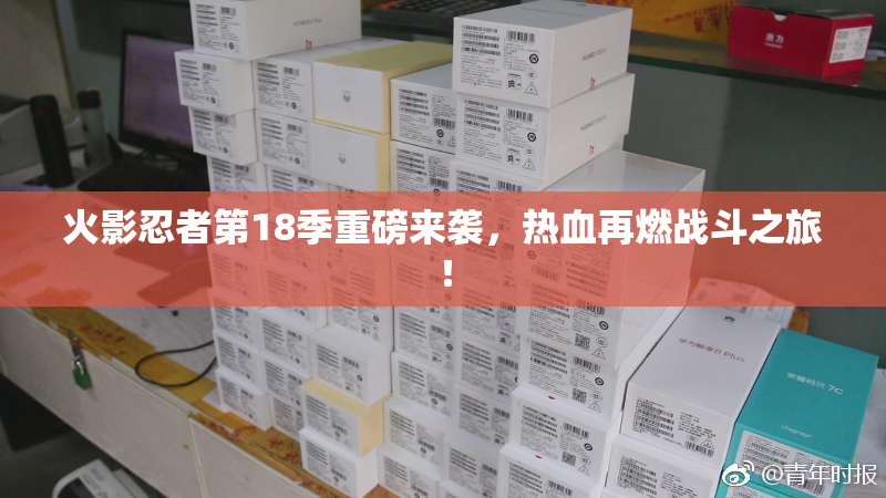 火影忍者第18季重磅来袭，热血再燃战斗之旅！