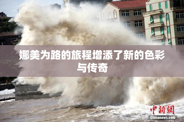 娜美为路的旅程增添了新的色彩与传奇