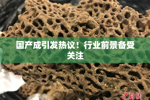 国产成引发热议！行业前景备受关注