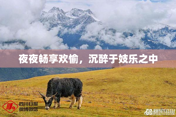 夜夜畅享欢愉，沉醉于妓乐之中