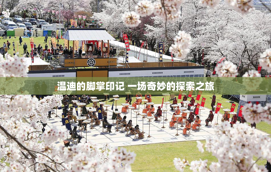 温迪的脚掌印记 一场奇妙的探索之旅