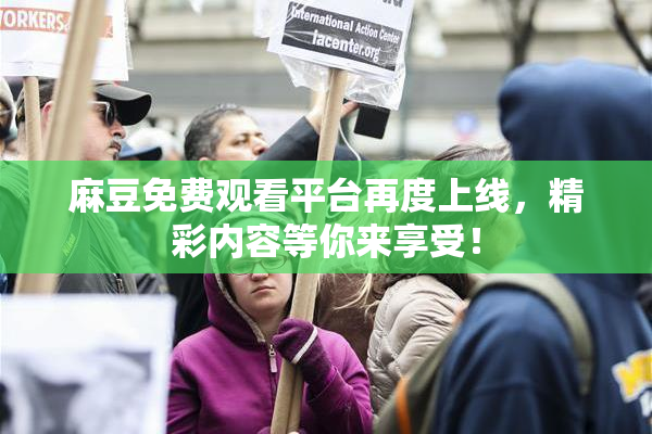麻豆免费观看平台再度上线，精彩内容等你来享受！