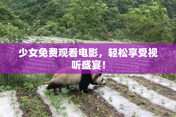 少女免费观看电影，轻松享受视听盛宴！
