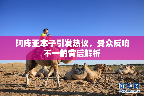 阿库亚本子引发热议，受众反响不一的背后解析