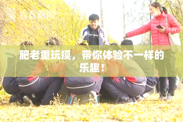 肥老重玩摸，带你体验不一样的乐趣！