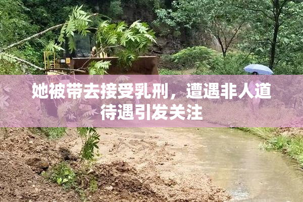 她被带去接受乳刑，遭遇非人道待遇引发关注