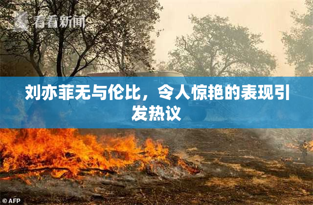 刘亦菲无与伦比，令人惊艳的表现引发热议