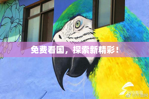 免费看国，探索新精彩！
