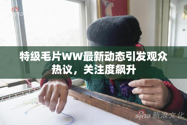特级毛片WW最新动态引发观众热议，关注度飙升